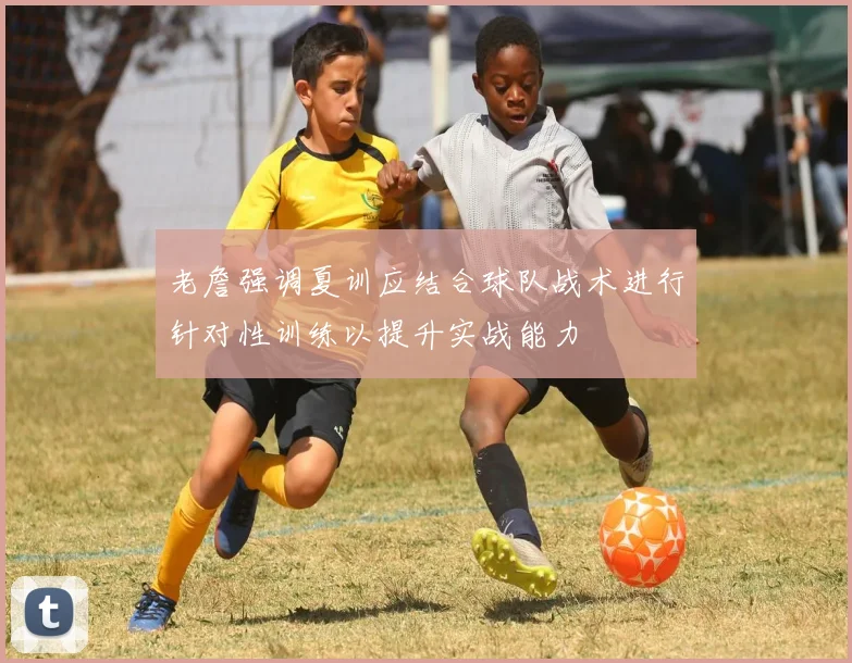老詹强调夏训应结合球队战术进行针对性训练以提升实战能力